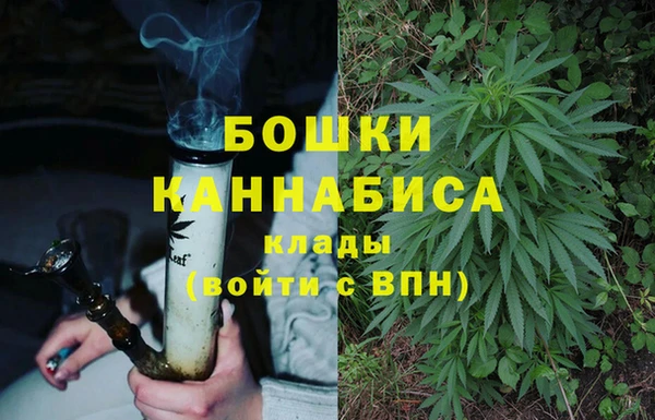 эйфоретик Баксан